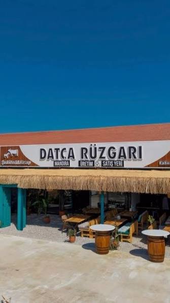Datça Rüzgarı